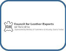 Council for Leather Exports, India