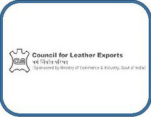 Council for Leather Exports, India